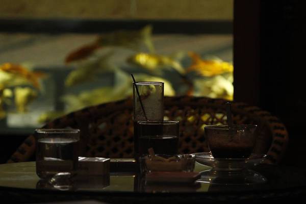không gian thư giãn tại quán café cá cảnh Hà Nội
