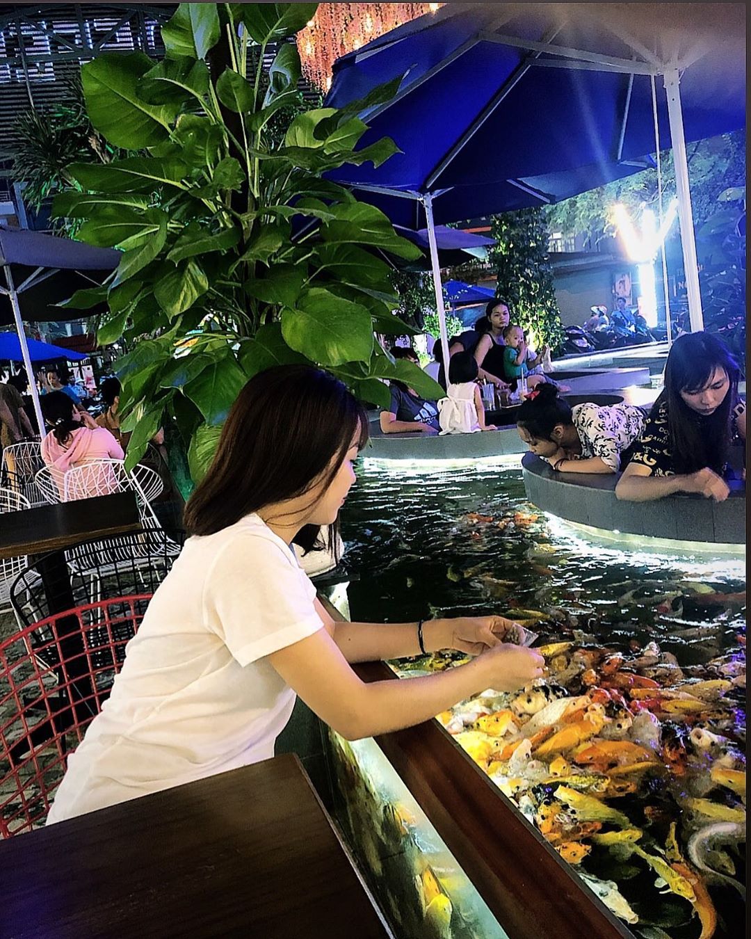Du khách cho cá Koi ăn tại quán café cá Koi Sài Gòn
