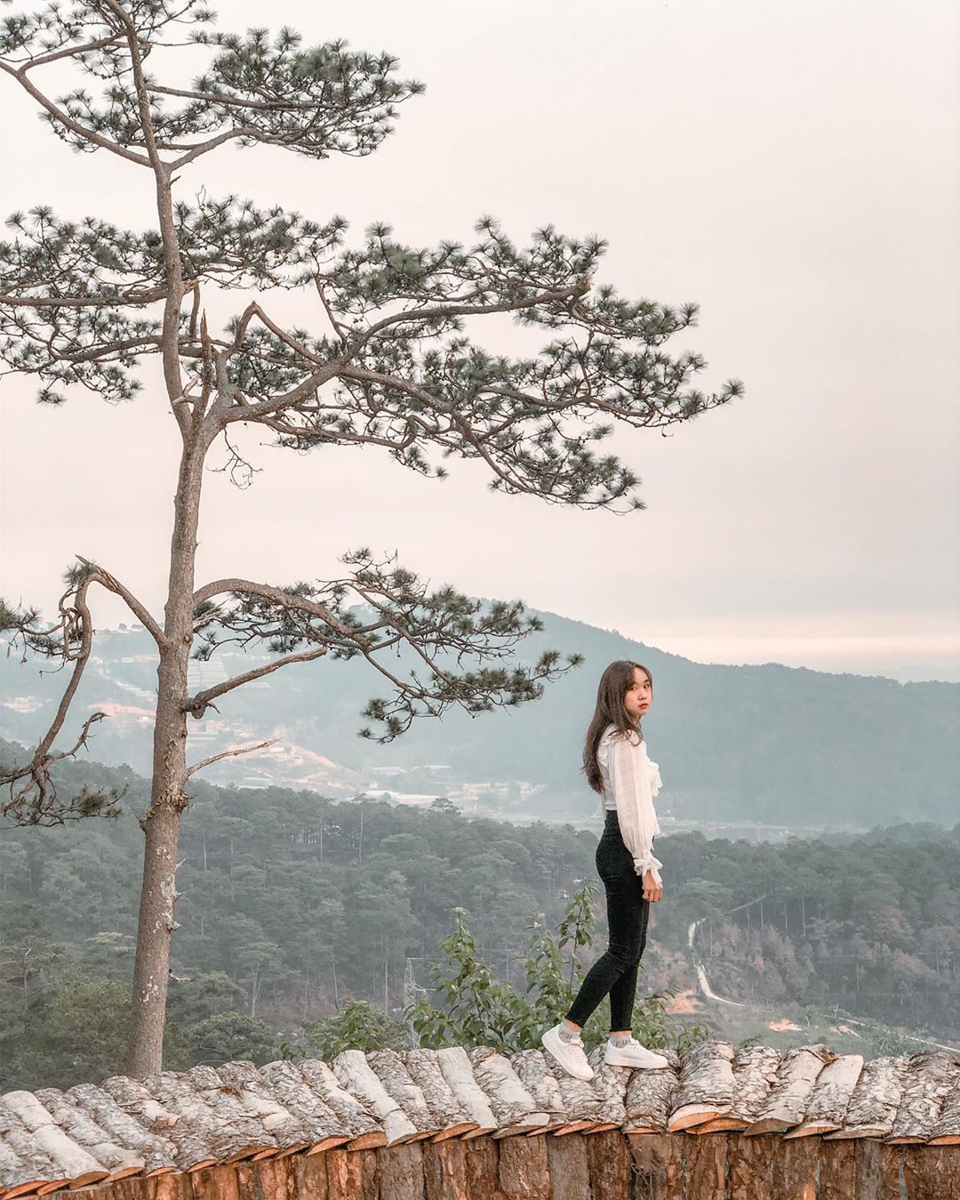 Không gian tiệm cafe Đà Lạt Bohem view hoàng hôn lãng mạn