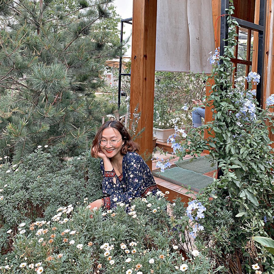 Vườn hoa Daisy tại The Deer In Forest Đà Lạt