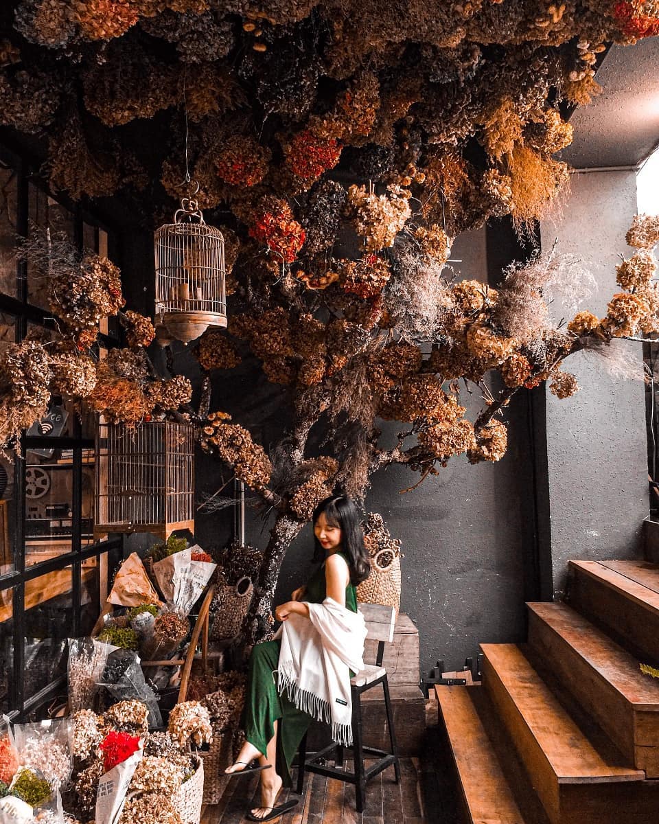 Ảnh: vithaotran