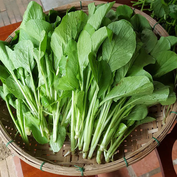 Sơ chế nguyên liệu cải ngọt xào thịt thăn
