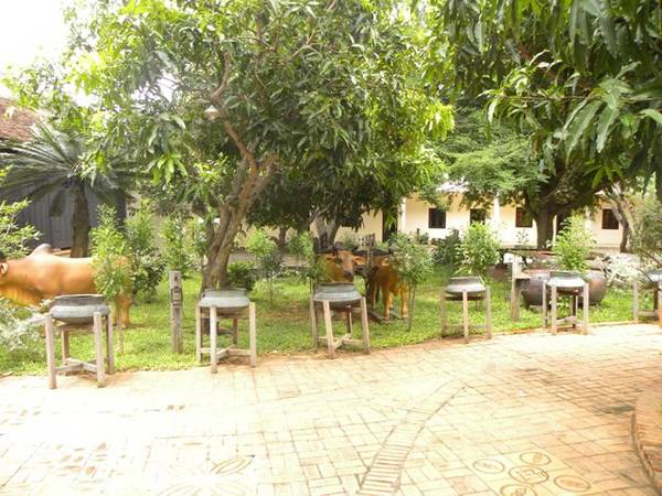 Vườn cây cổ thụ tại cơ sở I trường Đại học Phan Thiết