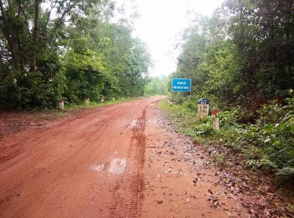 Khám phá bên trong cánh rừng nguyên sinh là một trải nghiệm thật tuyệt vời, giữa rừng già rong ruổi bánh xe nghe tiếng chim hót, tiếng mưa rừng cùng mùi đất hăng nồng xông lên mũi.