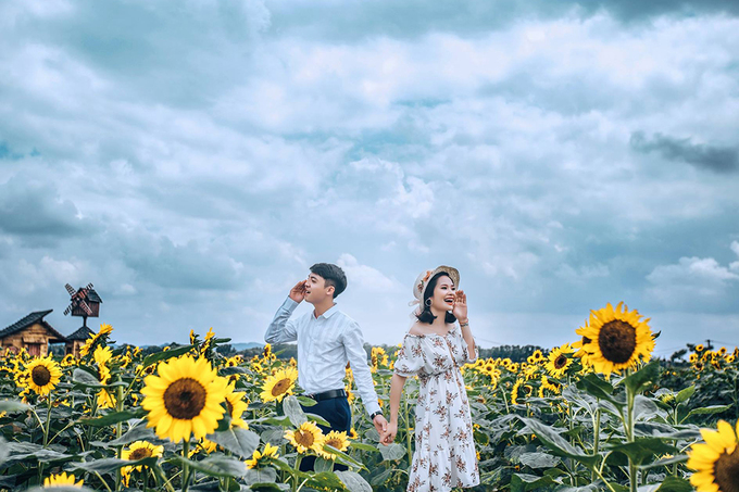 Bạn nên đi sớm để có được hình đẹp. Thời điểm lý tưởng từ 7h đến 11h sáng. Cánh đồng hoa cũng thu hút nhiều cặp đôi đến chụp ảnh cưới. Ảnh: Mạnh Thuỳ.