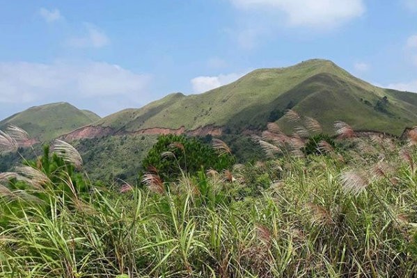 Cánh đồng Bình Liêu mùa thu với cỏ lau trắng
