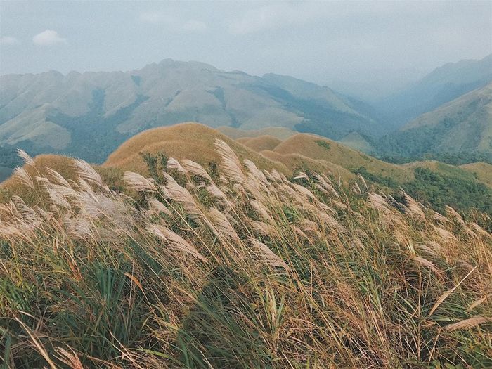 Ảnh: @Quynhanh