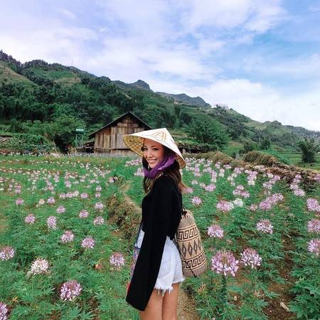 Cánh đồng hoa hồng Ri đẹp tại Cát Cát
