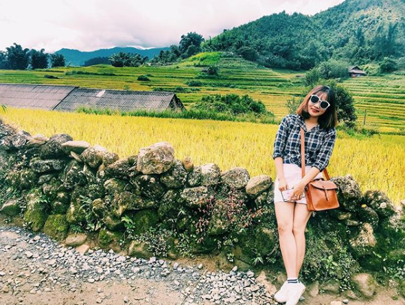 Hoa hồng Ri tại bản làng Sapa