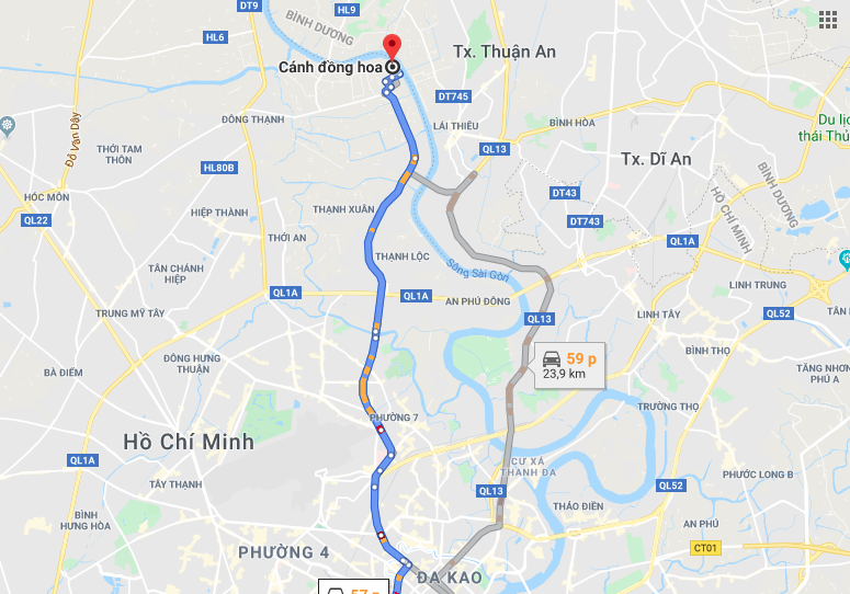 canh-dong-hoa-ivivu-1 canh-dong-hoa-ivivu-1