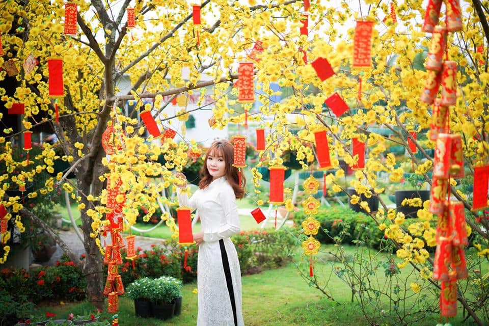 canh-dong-hoa-ivivu-13 canh-dong-hoa-ivivu-13