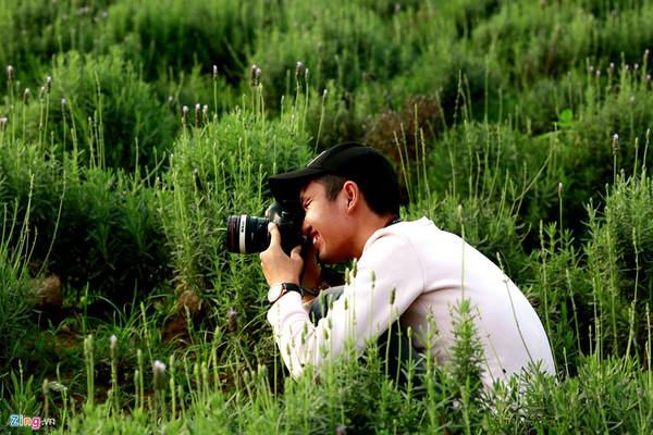Hai giống hoa lavender được trồng tại cánh đồng ở Hà Nội.