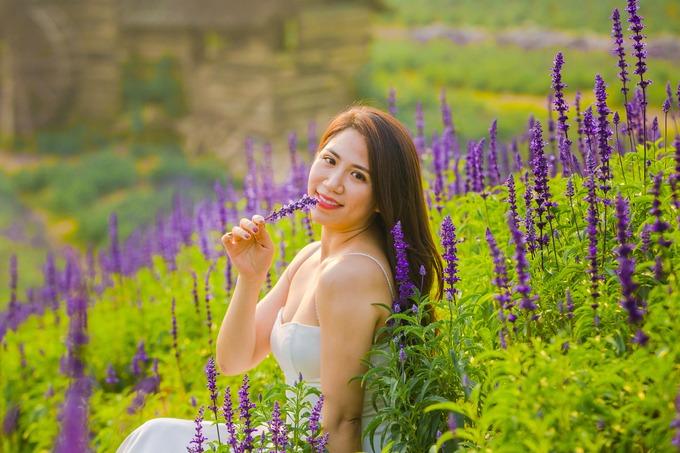 Du khách ngắm view sông Hồng tại cánh đồng hoa nữ hoàng xanh