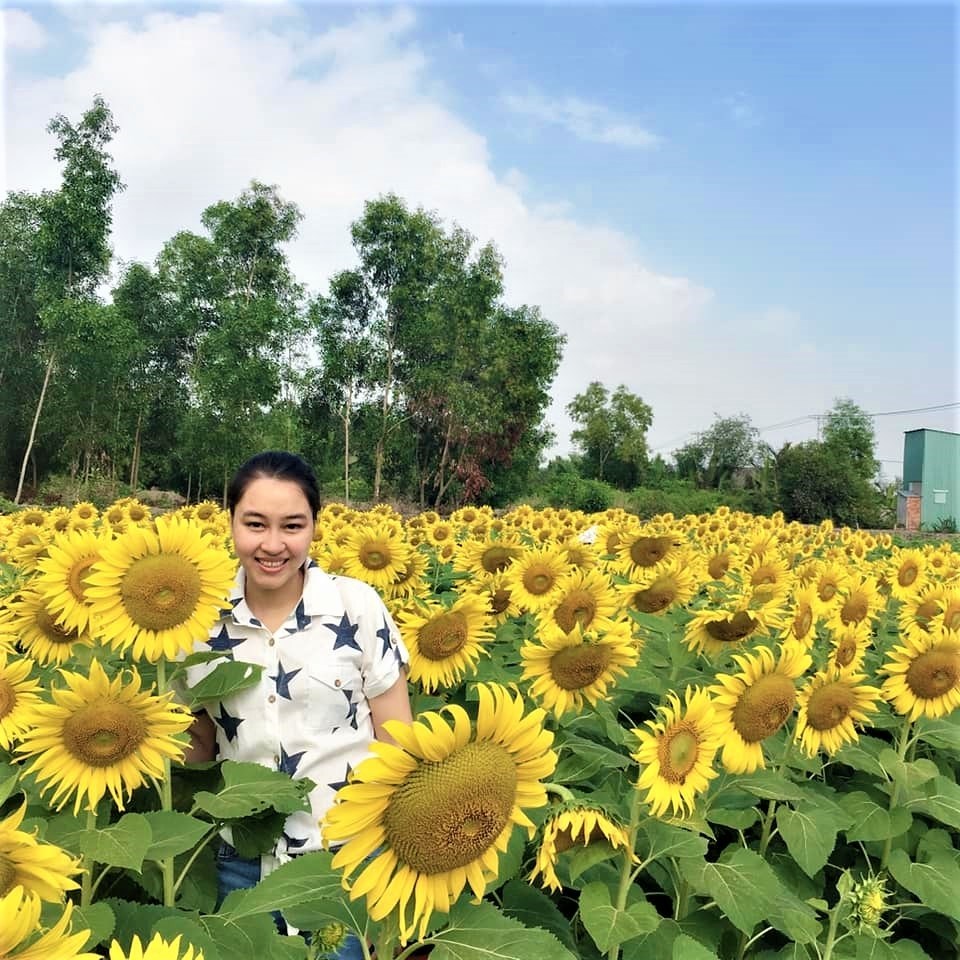 Đường đến cánh đồng hướng dương Sài Gòn