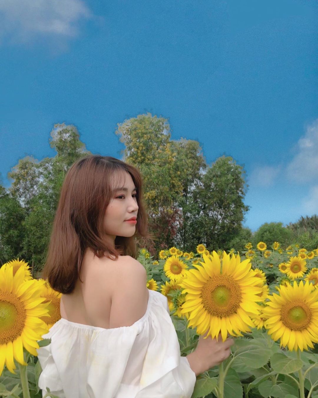 Cánh đồng hướng dương Sài Gòn lãng mạn