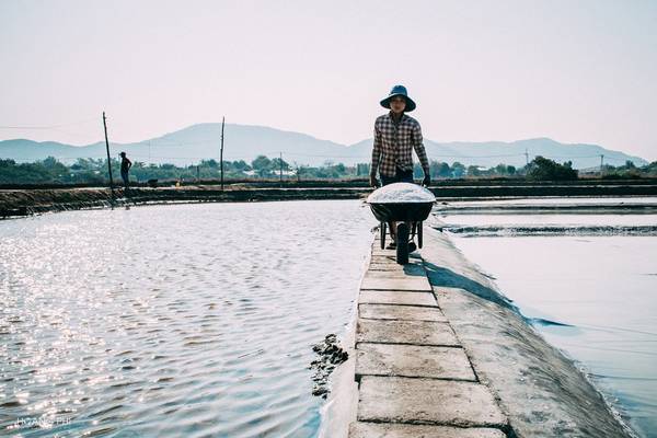 Giá muối tại cánh đồng muối Bà Rịa