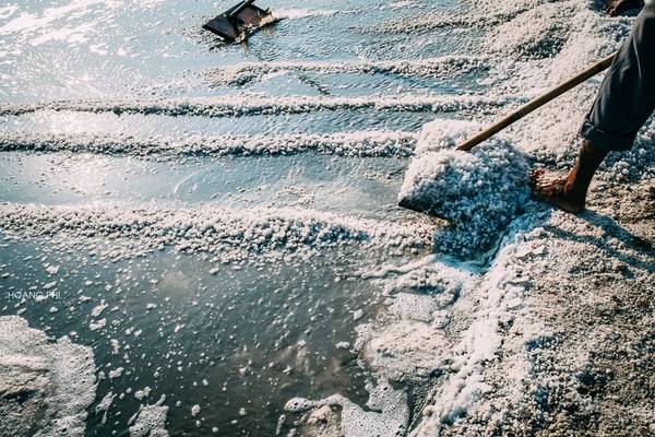 Hạt muối tại cánh đồng muối Bà Rịa