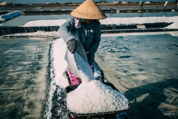 Ngày làm việc của diêm dân tại cánh đồng muối Bà Rịa