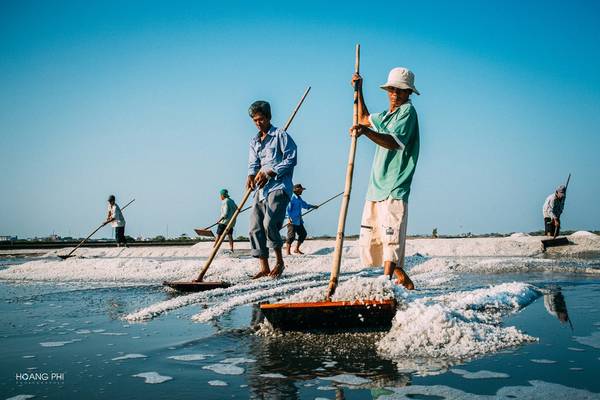 Diêm dân ra ruộng sớm tại cánh đồng muối Bà Rịa