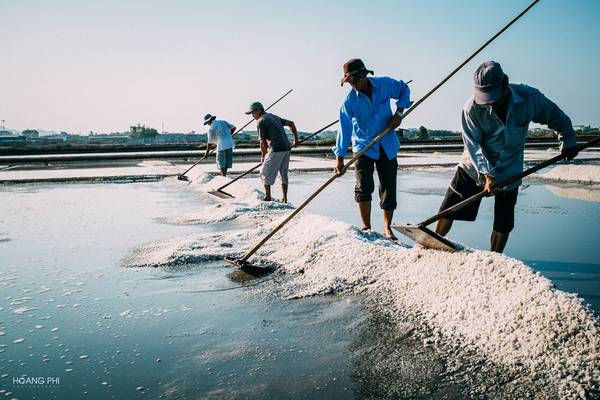 Cánh đồng muối Bà Rịa – Vũng Tàu ngày nắng gắt