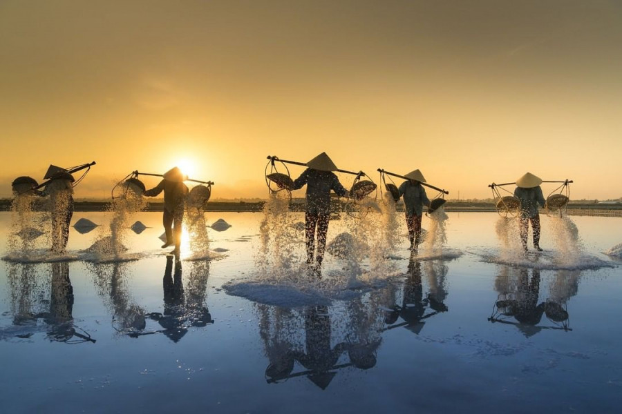 Khung cảnh yên bình trên cánh đồng muối Hòn Khói Khung cảnh yên bình trên cánh đồng muối Hòn Khói