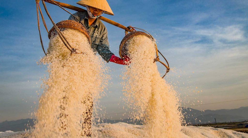 Hạt muối lấp lánh dưới nắng tại cánh đồng muối Hòn Khói