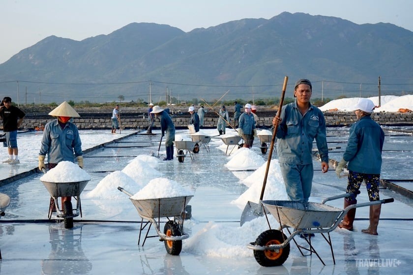Vẻ đẹp lao động của diêm dân cánh đồng muối Hòn Khói
