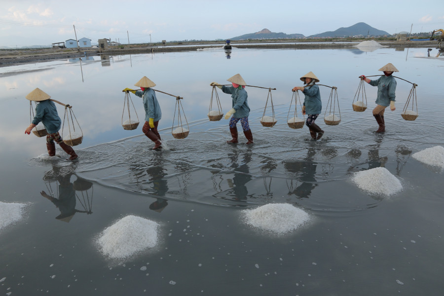 Vẻ đẹp lao động trên cánh đồng muối Hòn Khói Vẻ đẹp lao động trên cánh đồng muối Hòn Khói
