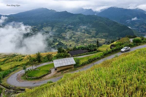 Áng mây bồng bềnh Y Tý mùa lúa chín