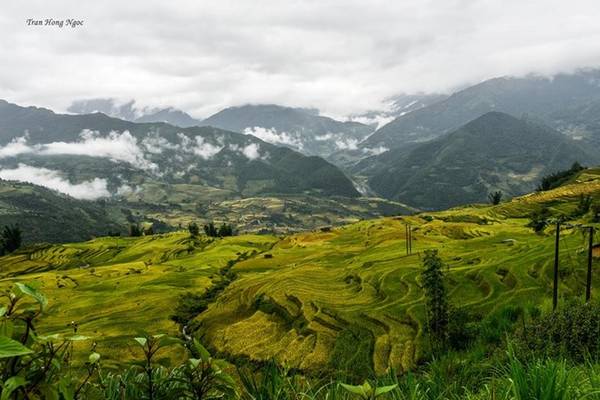 Đường đến Y Tý mùa lúa chín khó đi hơn khi mưa
