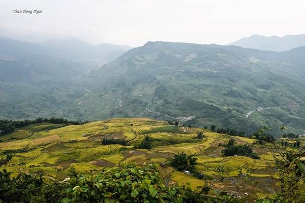 Hành trình khám phá Y Tý mùa lúa chín giữa núi rừng