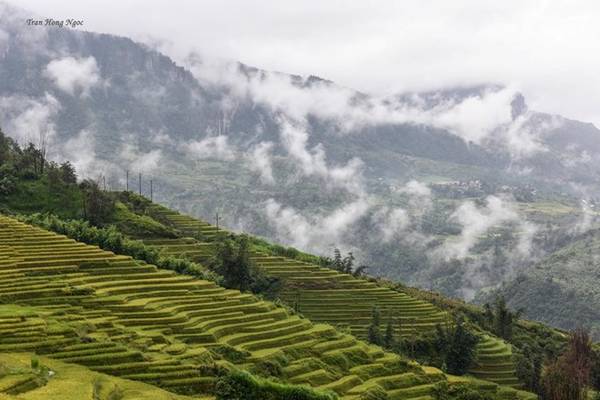 Leo lên những đỉnh cao nhìn xuống, thấy mây len lỏi giữa các ngọn cây như những sợi tơ, tôi chợt ngỡ ngàng trước thiên nhiên diệu kỳ. Phải chăng tôi đã phải lòng nơi này?