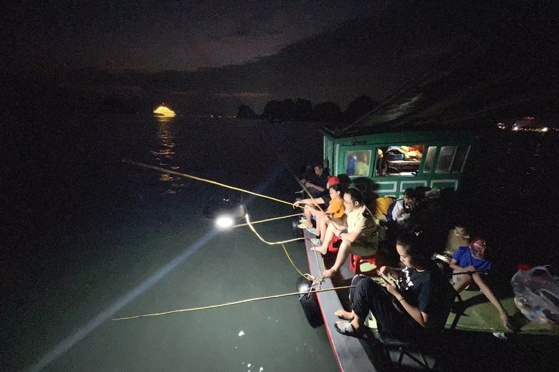 Câu mực đêm. Ảnh minh họa