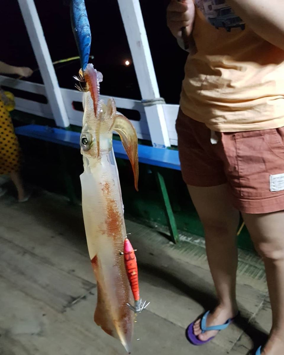 Câu mực đêm Phú Quốc