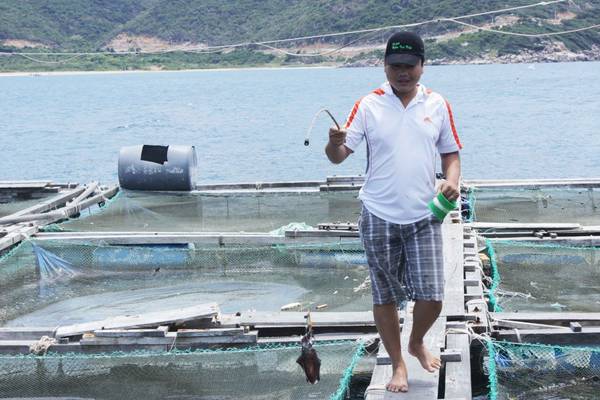 Trải nghiệm câu mực đêm thú vị tại đảo Bình Hưng