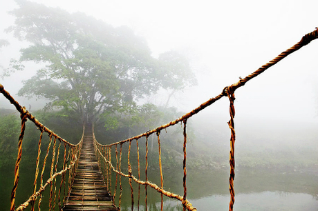 Tác phẩm mang tên 'Bridge Jungle Journey' (Cây cầu dẫn tới rừng xanh) có giá từ 139 USD, cho kích thước khoảng 1x1,3m. Ảnh: Skip Nall.