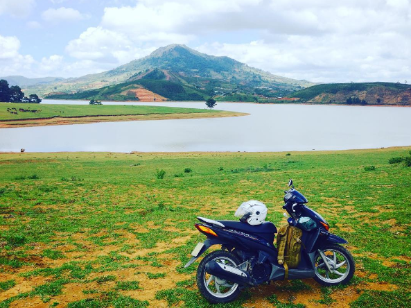 Cây cô đơn check-in Đà Lạt