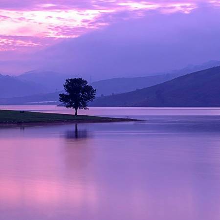 Ảnh:@trinny_phan7479