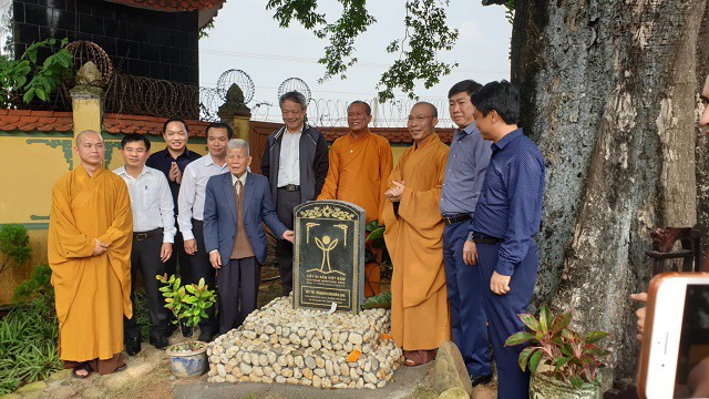 Cây thị 900 tuổi được công nhận là cây Di sản