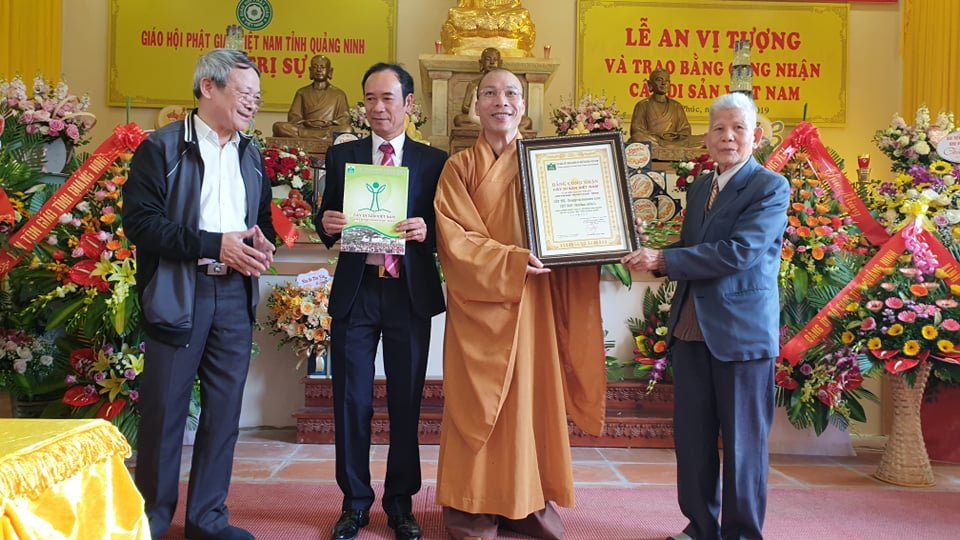 Khuôn viên chùa Đống Phúc với cây thị 900 tuổi
