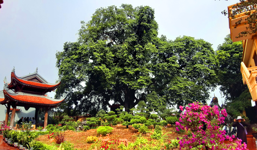 Khuôn viên chùa Đống Phúc Quảng Ninh