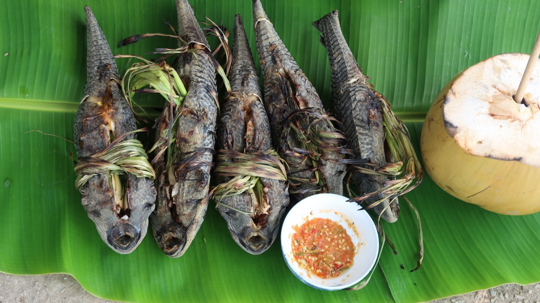 cá-lau-kiếng-ivivu