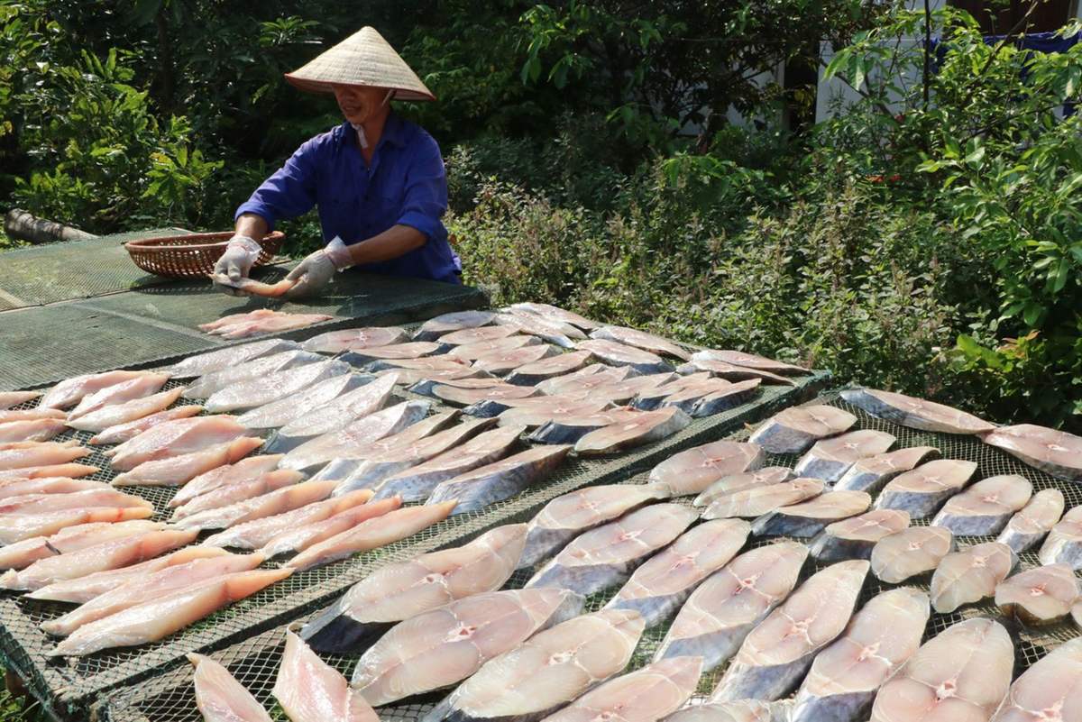 Cá-thu-một-nắng-ivivu