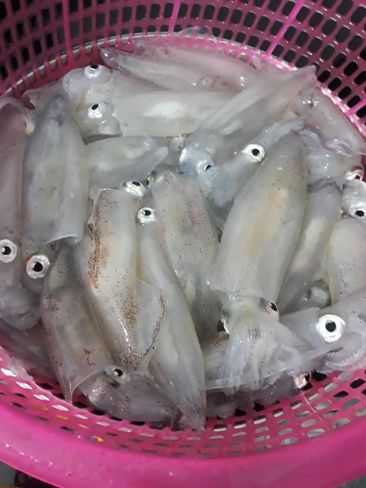 cc3a2u-me1bbb1c5 câu mực5