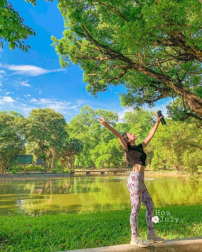 Ngọn đồi núi Rừng tại công viên Bách Thảo