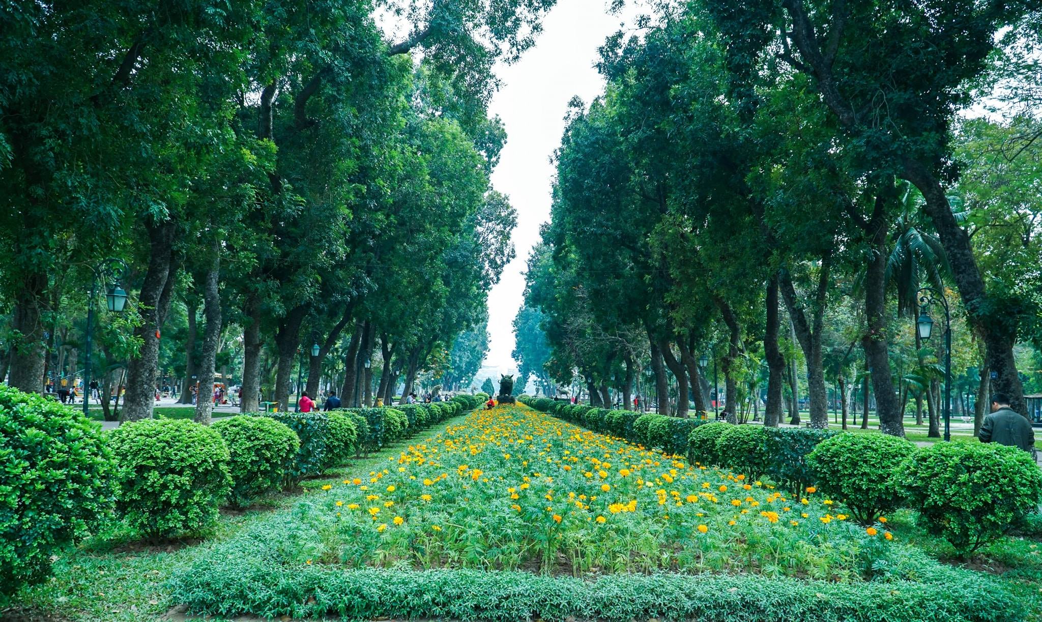 Công viên Thống Nhất Hà Nội với hồ Bảy Mẫu