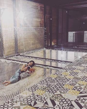 Lối đi tràn ngập cây xanh tại Ccasa Hostel