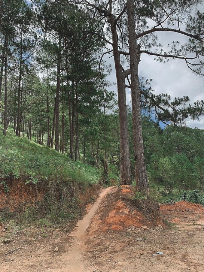 cầu treo bal1