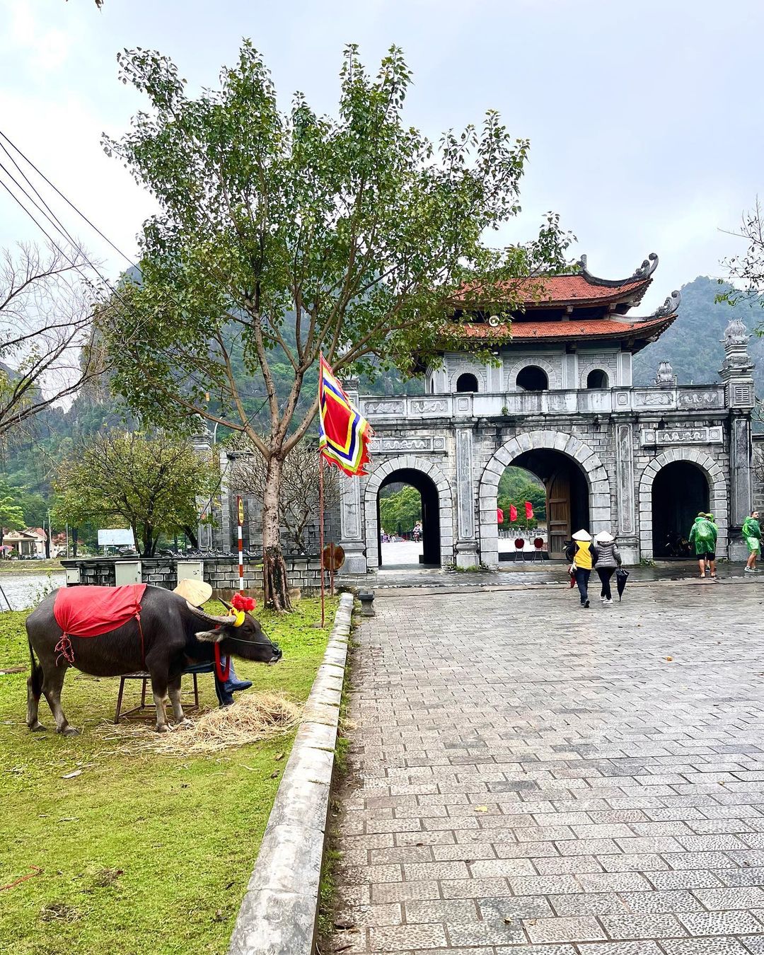 Quần thể di tích Cố đô Hoa Lư