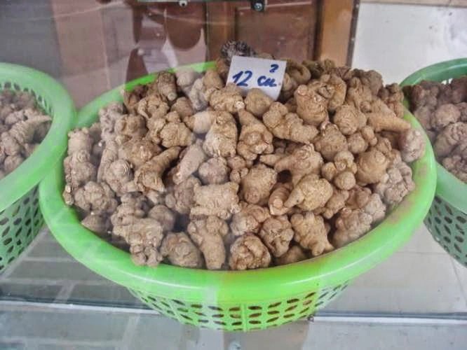 Củ ấu tẩu chỉ mọc ở núi cao.